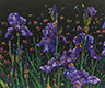 Floral Interpretation - Irises